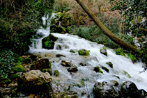 Nacimiento del río Cardener.