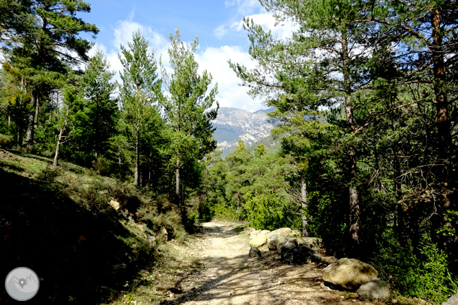 Camino Verde del Valle de Lord - Fuentes del Cardener 1 