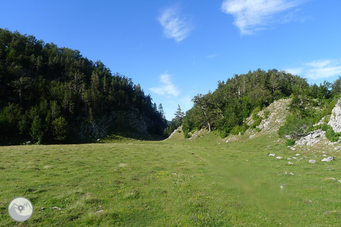 Camino de Zemeto en el valle de Roncal-Belagua 1 