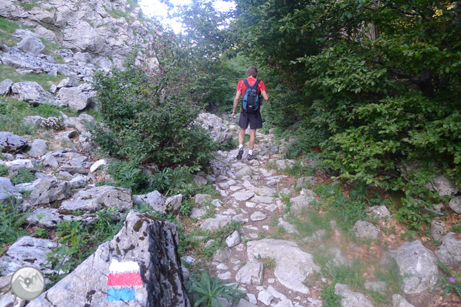 Camino de Zemeto en el valle de Roncal-Belagua 1 