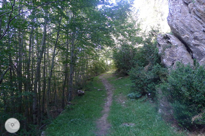 Camino de Zemeto en el valle de Roncal-Belagua 1 