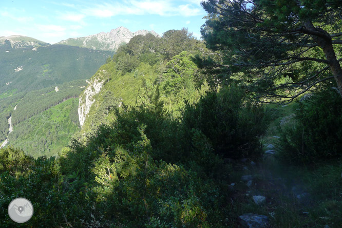 Camino de Zemeto en el valle de Roncal-Belagua 1 