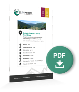 pdf-ruta