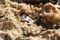 Rocas minerales que encontramos durante la subida.
