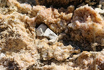 Rocas minerales que encontramos durante la subida.