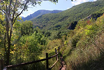 Camino de bajada hacia el Pont de Suert.