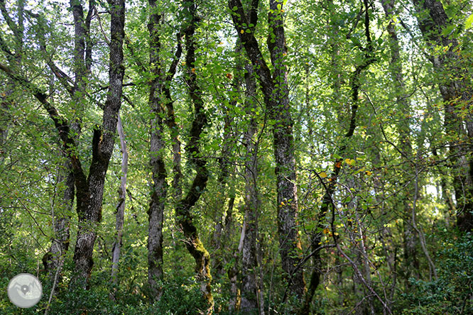 Camino del Agua en la Alta Ribagorza 1 