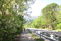 Andamos por el camino que avanza en paralelo a la carretera C-13.