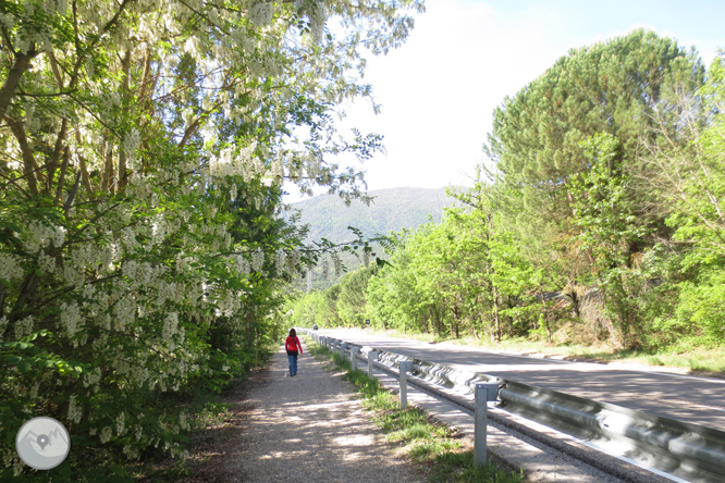 Camino del Barranc del Bosc y Roca Regina 1 