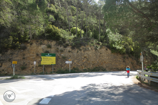 Camino del Barranc del Bosc y Roca Regina 1 