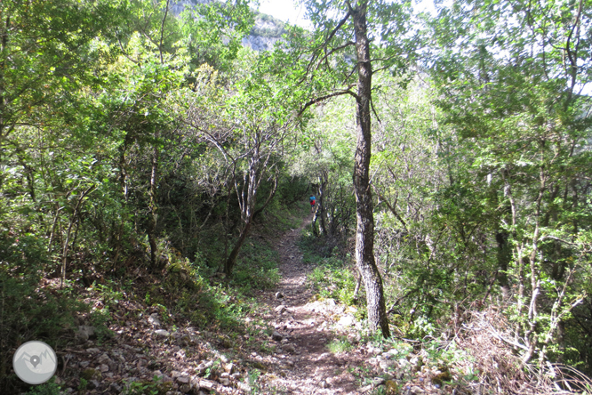 Camino del Barranc del Bosc y Roca Regina 1 