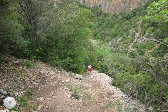 Camino del Barranc del Bosc y Roca Regina 1 