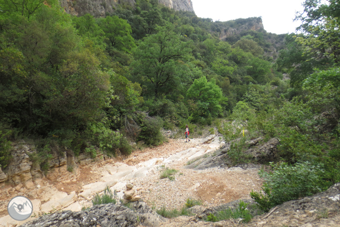 Camino del Barranc del Bosc y Roca Regina 1 