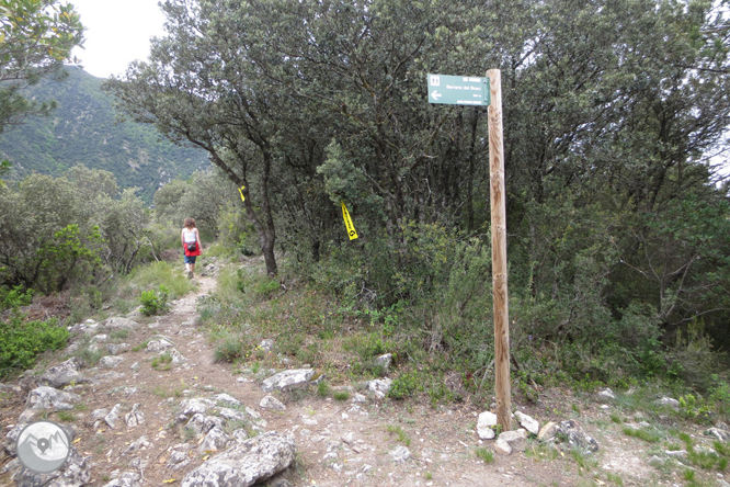 Camino del Barranc del Bosc y Roca Regina 1 