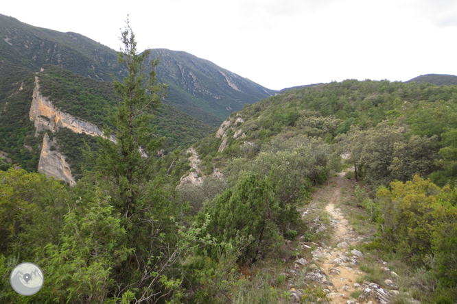 Camino del Barranc del Bosc y Roca Regina 1 