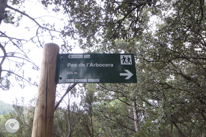 Camino del Barranc del Bosc y Roca Regina 1 