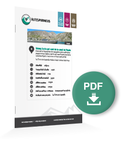 pdf-ruta