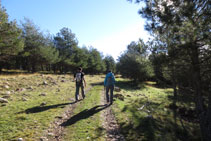 La pista cruza algunos bosques.