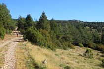 Ya vemos el refugio al fondo (por entre el bosque).