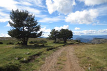 Parte de la bajada se hace por la misma pista por donde hemos subido antes.