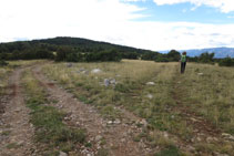 Dejamos la pista por donde veníamos y tomamos a mano derecha (hito) la pista que avanza hacia la sierra del Banyader.