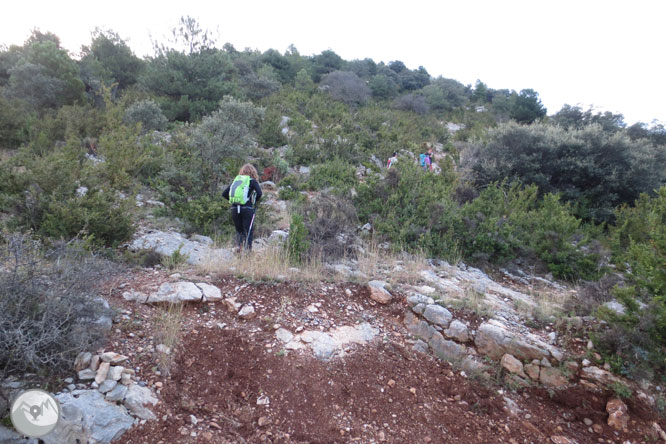 Cap de Boumort (2.077m) desde Hortoneda 1 