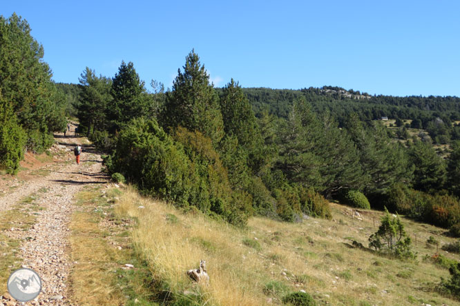 Cap de Boumort (2.077m) desde Hortoneda 1 