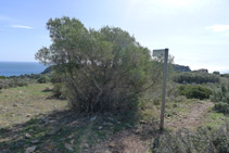 Desvío del mirador del Cap de Norfeu.