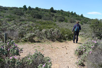 Desde la cabaña de pastores, cogemos ahora el camino de la derecha, que sigue el Cap de Norfeu por su lado N.