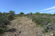 Seguimos el camino en ligera subida hasta la loma del Cap de Norfeu.