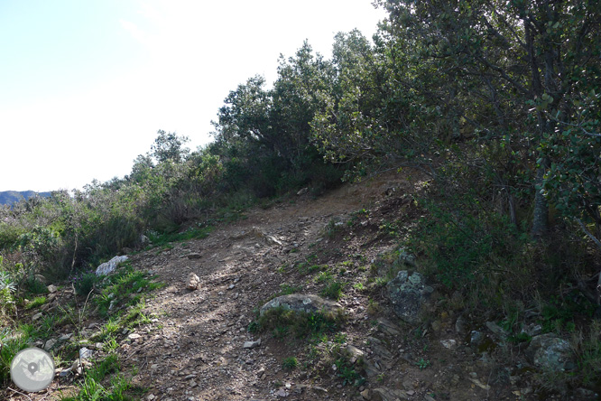 Ruta circular por el Cap de Norfeu 1 