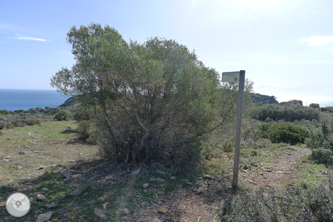 Ruta circular por el Cap de Norfeu 1 