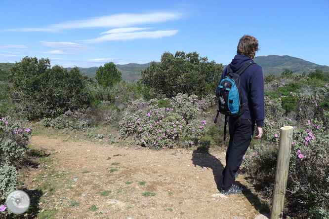 Ruta circular por el Cap de Norfeu 1 