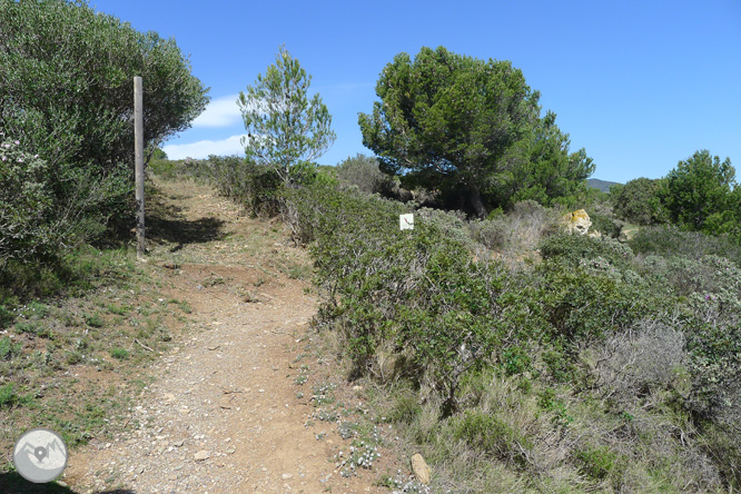 Ruta circular por el Cap de Norfeu 1 