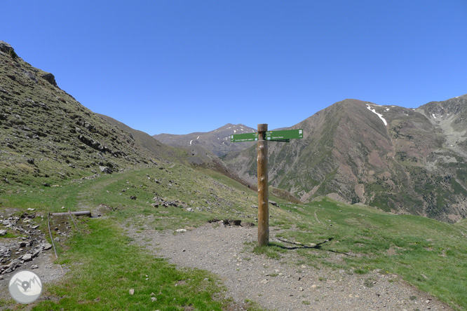 Carrilet del Estany Gento en la Vall Fosca 1 