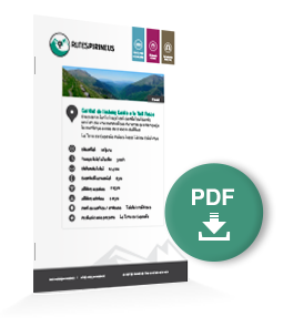 pdf-ruta