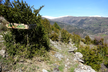 Cruce, camino a Baro.