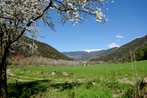 Camino a la borda de Menal.