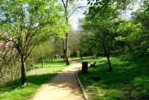 Camino a la fuente del Bisbe.