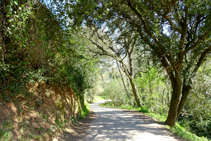 Camino a la fuente del Ferro.