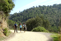 Camino a Sant Miquel.