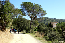 Camino a Can Lliure.