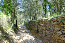 Paredes de piedra seca en las Gavarres.