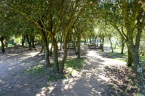 Zona de picnic cerca del castillo de Sant Miquel.