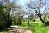 Campos de cereales en el valle de Sant Daniel.