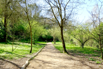 Camino al barrio viejo de Gerona.