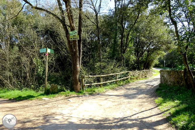 El castillo de Sant Miquel desde Gerona 1 