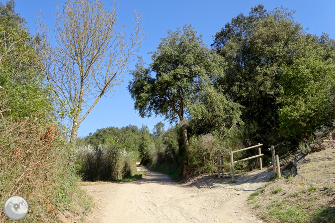 El castillo de Sant Miquel desde Gerona 1 