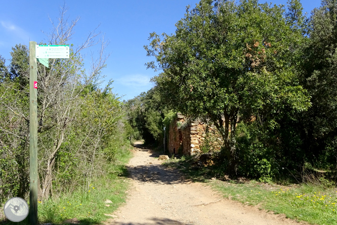 El castillo de Sant Miquel desde Gerona 1 