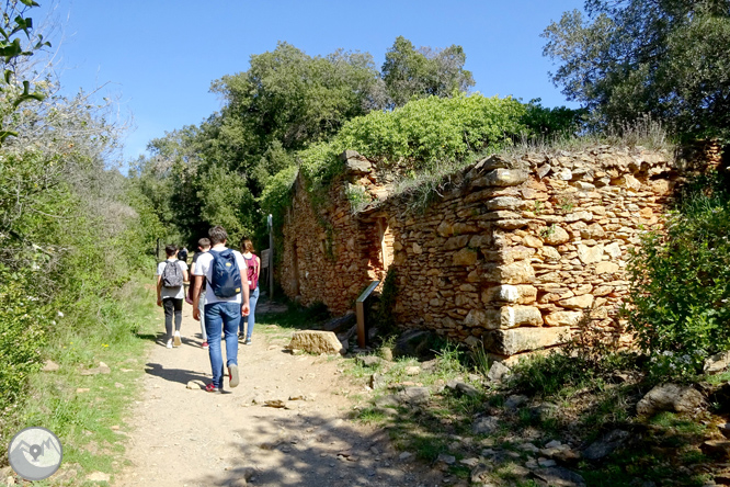 El castillo de Sant Miquel desde Gerona 1 